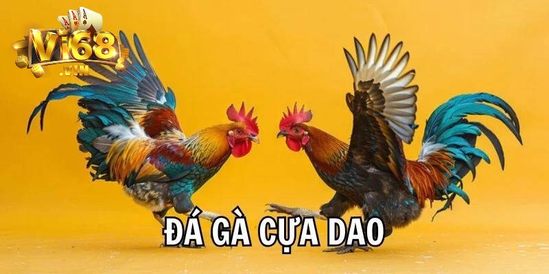 Đôi nét về đá gà cựa dao