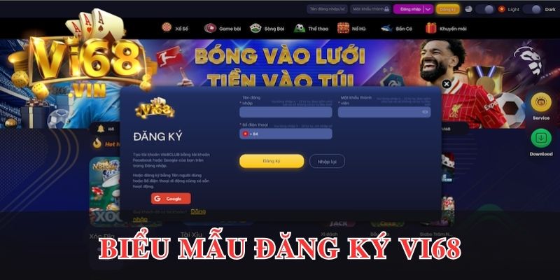 Hình ảnh biểu mẫu đăng ký tại Vi68