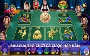 Hướng Dẫn Cách Chơi Bầu Cua Dễ Hiểu Cho Người Mới Bắt Đầu