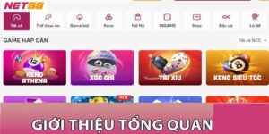 Net88 - Nhà cái cá cược trực tuyến uy tín, kho game đa dạng